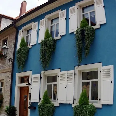 Finster Apartment